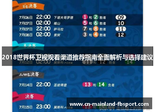 2018世界杯卫视观看渠道推荐指南全面解析与选择建议 2018世界杯卫视观看渠道推荐指南全面解析与选择建议