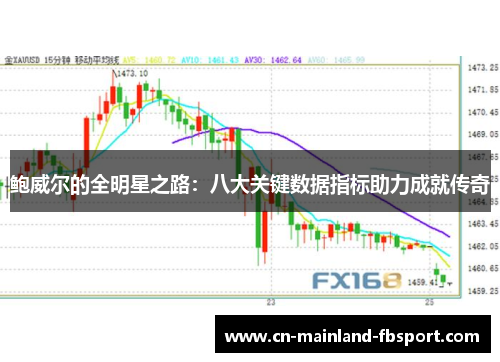 鲍威尔的全明星之路：八大关键数据指标助力成就传奇