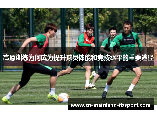 高原训练为何成为提升球员体能和竞技水平的重要途径 高原训练为何成为提升球员体能和竞技水平的重要途径