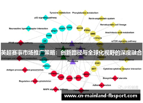 英超赛事市场推广策略：创新路径与全球化视野的深度融合