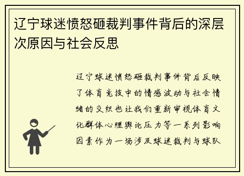辽宁球迷愤怒砸裁判事件背后的深层次原因与社会反思 辽宁球迷愤怒砸裁判事件背后的深层次原因与社会反思
