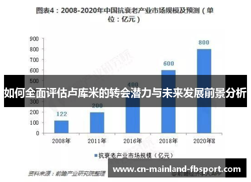 如何全面评估卢库米的转会潜力与未来发展前景分析