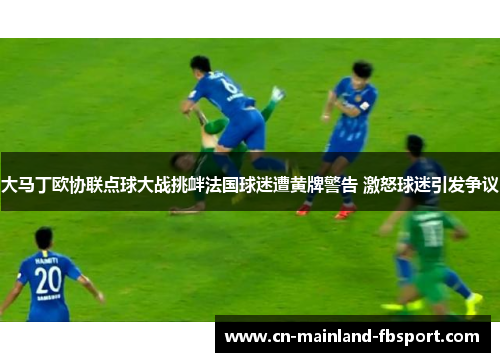 大马丁欧协联点球大战挑衅法国球迷遭黄牌警告 激怒球迷引发争议