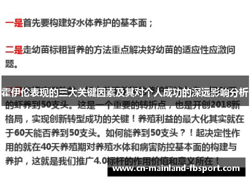 霍伊伦表现的三大关键因素及其对个人成功的深远影响分析